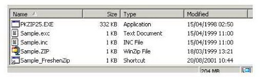 A view of an Windows Explorer window showing the files needed for the project called ' Sample'.